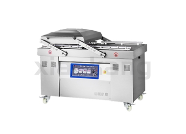 DZ-600/2S全自動真空充氣包裝機(jī)